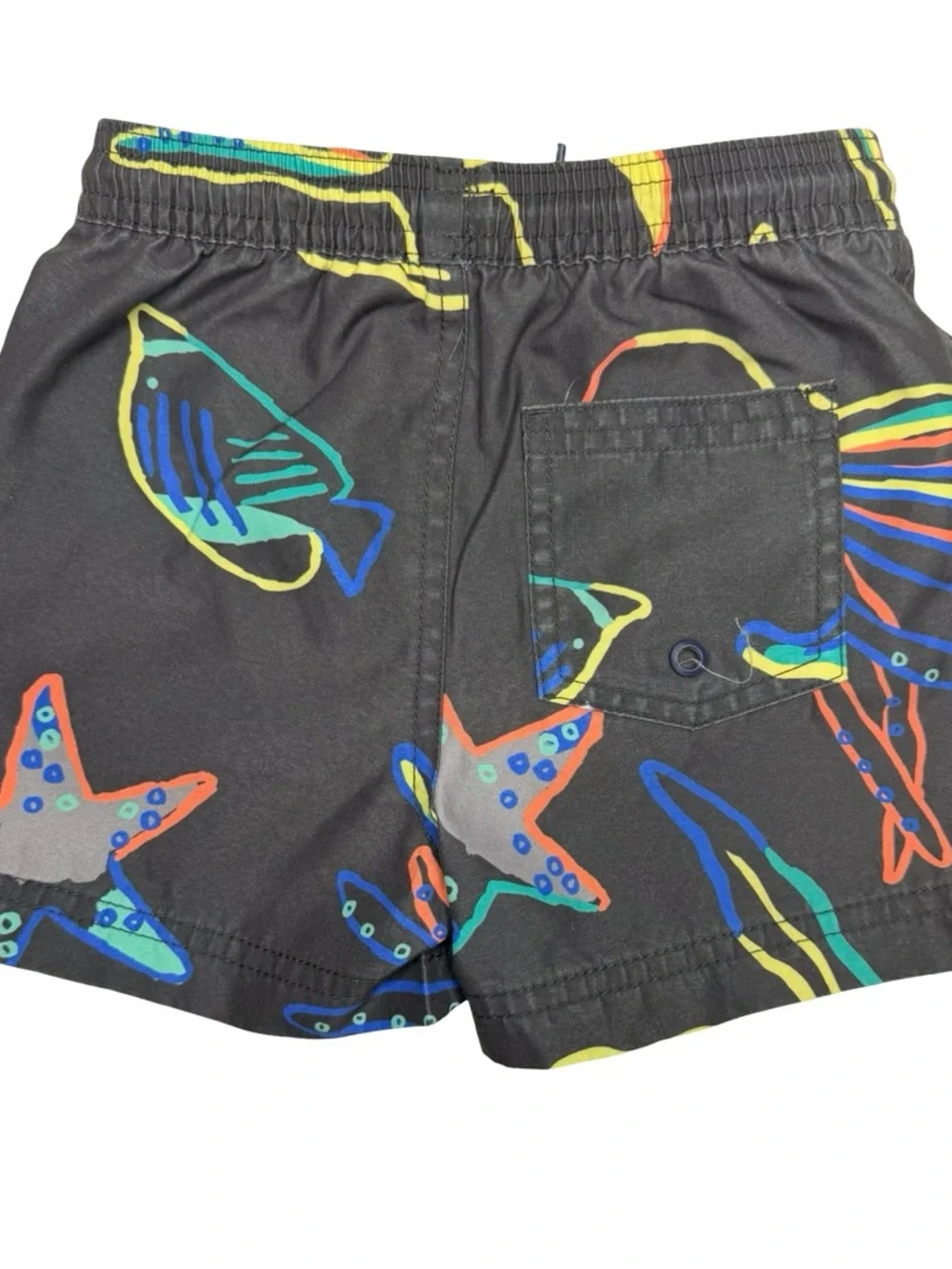Tea Collection Sea Creature Swim‎ Trunks